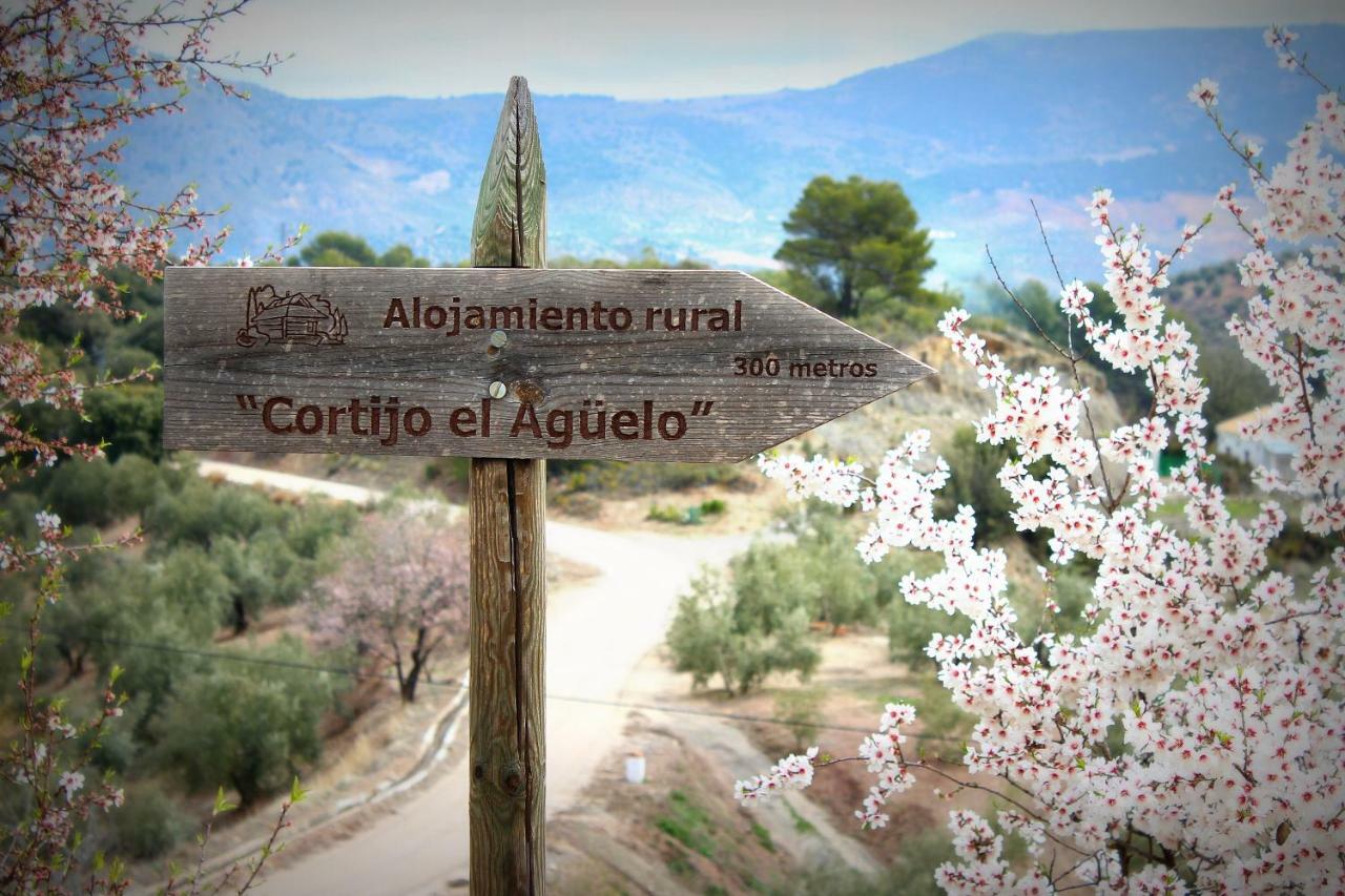 Alojamiento rural El Agüelo Huelma Exterior foto